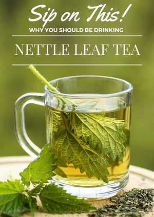 
                  
                    Nettle Leaf Tea
                  
                