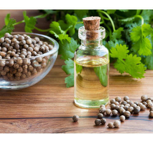 CORIANDER OIL